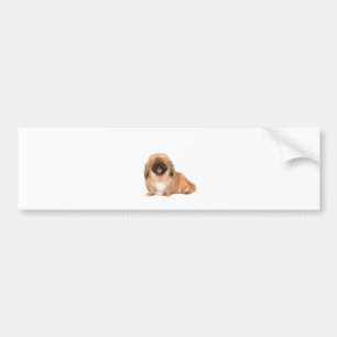 Autocollant De Voiture Pekingese (rouge, masque noir #1)