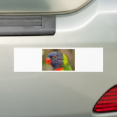 Autocollant De Voiture Perroquet (En voiture)