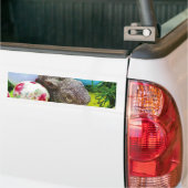 Autocollant De Voiture Personnaliser (Sur camion)