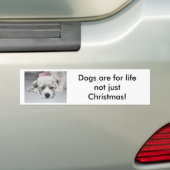 Autocollant De Voiture Petit chien triste de Noël (En voiture)