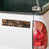 Autocollant De Voiture Pharaons (Sur camion)