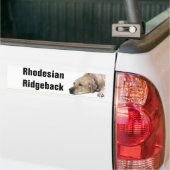 Autocollant De Voiture Photo de chien Rhodesian Ridgeback (Sur camion)