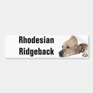 Autocollant De Voiture Photo de chien Rhodesian Ridgeback