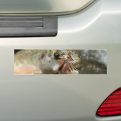 Autocollant De Voiture Photo Rainbow Trump (En voiture)