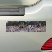 Autocollant De Voiture Photo Zebra Double Take (En voiture)