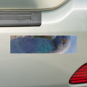 Autocollant De Voiture Pigeon (En voiture)