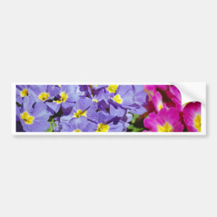 Autocollant De Voiture Pink and purple primroses