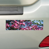 Autocollant De Voiture Pink flowering Dogwood tree (En voiture)