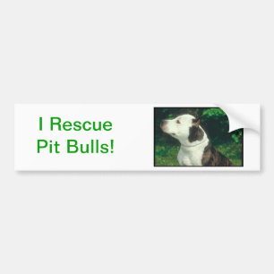 Autocollant De Voiture Pitbull