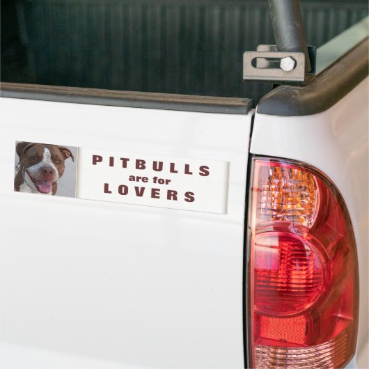 Autocollant De Voiture Pitbull joue avec moi (Sur camion)