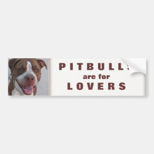 Autocollant De Voiture Pitbull joue avec moi