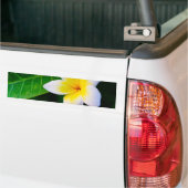 Autocollant De Voiture plumérie (Sur camion)