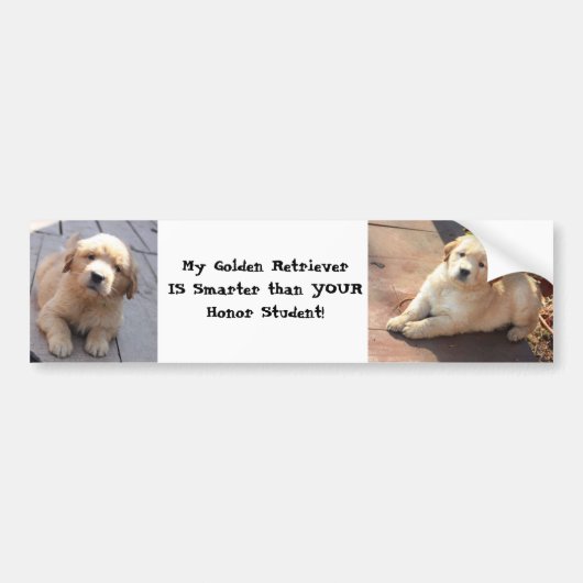 Autocollant De Voiture plus futé qu'un étudiant d'honneur (Devant)