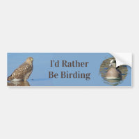 Plutôt Être Birding Hobby Raptor Wild Bird Hawk