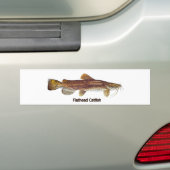 Autocollant De Voiture Poisson-chat à tête plate (En voiture)