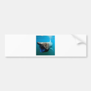 Autocollant De Voiture Poisson de requin Océan tropical Destin Cadeaux