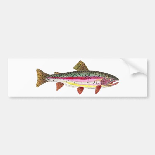 Autocollant De Voiture Poisson de truite arc-en-ciel (Devant)
