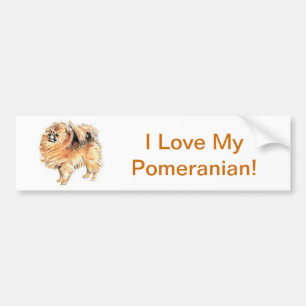Autocollant De Voiture Pomeranian