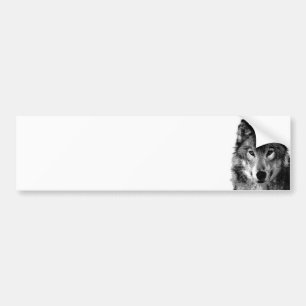 Autocollant De Voiture Portrait noir et blanc Wolf