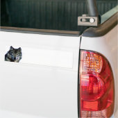 Autocollant De Voiture Portrait Wolf (Sur camion)
