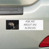 AUTOCOLLANT DE VOITURE POSEZ-MOI DES QUESTIONS SUR MES ALPACAS (En voiture)