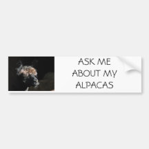 POSEZ-MOI DES QUESTIONS SUR MES ALPACAS