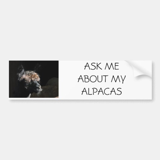 AUTOCOLLANT DE VOITURE POSEZ-MOI DES QUESTIONS SUR MES ALPACAS (Devant)