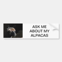 POSEZ-MOI DES QUESTIONS SUR MES ALPACAS