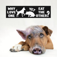 Pourquoi aimer l'un et manger l'autre?, Vegan