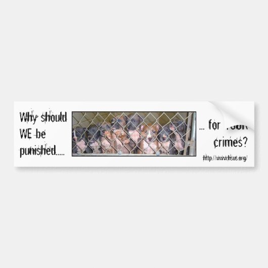 Autocollant De Voiture Pourquoi punissez les chiens ? (Devant)