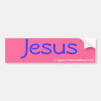 Praise Him N Pink Bible quota Customize