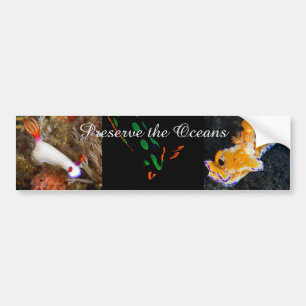 Autocollant De Voiture Préservez l'adhésif pour pare-chocs d'océans