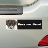 Autocollant De Voiture Priez pour la neige ! (En voiture)