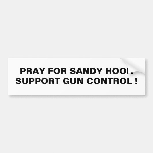 AUTOCOLLANT DE VOITURE PRIEZ POUR SANDY HOPORT SUPPORT GUND CONTROL ! (Devant)