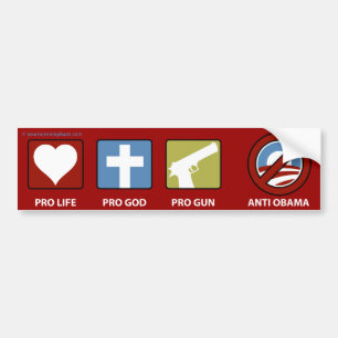 Autocollant De Voiture Princples contre Obama