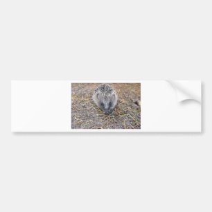 Autocollant De Voiture Produits de Hedgie