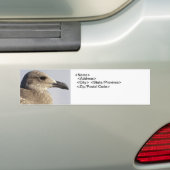 Autocollant De Voiture Profil Seagull (En voiture)