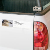Autocollant De Voiture Profil Seagull (Sur camion)