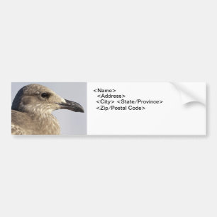 Autocollant De Voiture Profil Seagull