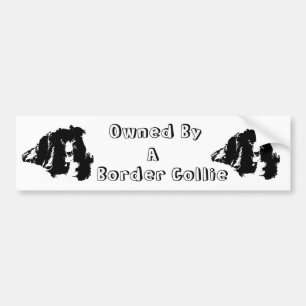 Autocollant De Voiture Propriété D'Un Collie Bordure Funny Bumper Stick