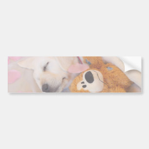 Autocollant De Voiture Puppy cuddles 02