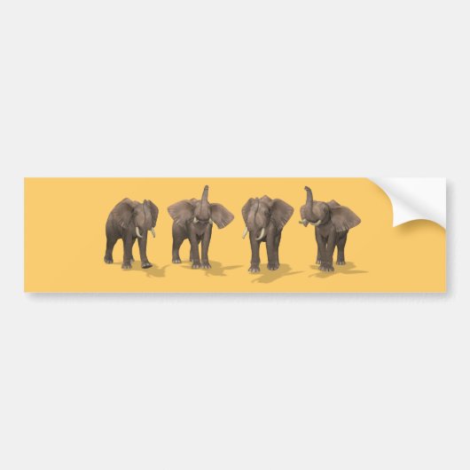 Autocollant De Voiture Quartet des éléphants (Devant)