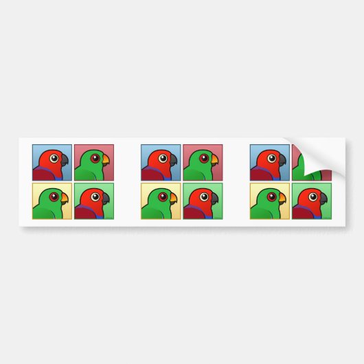 Autocollant De Voiture Quatre couleur Eclectus (Devant)