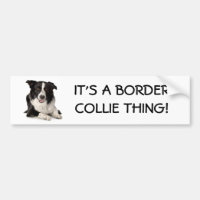 Race-Frontière-Colley, C'est UNE CHOSE de BORDER
