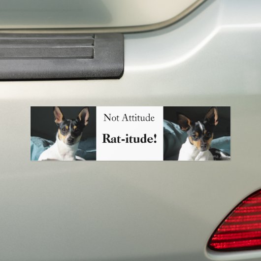 Autocollant De Voiture Rat-itude ! (En voiture)