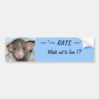 Autocollant De Voiture RATS… ce qui n'est pas d'aimer ?