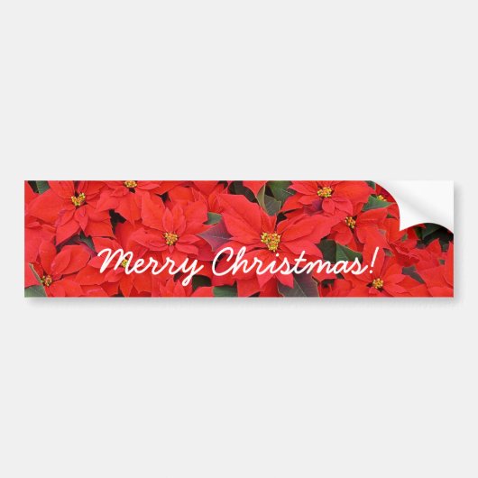 Autocollant De Voiture Red Poinsettias I Christmas Holiday Floral Photo (Devant)