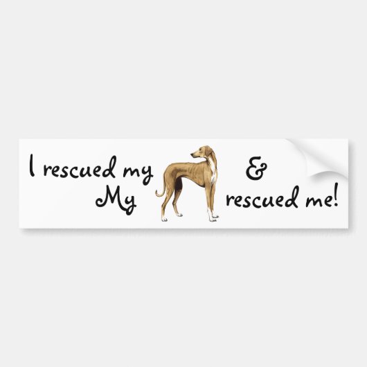 Autocollant De Voiture Rescue Azawakh (Devant)