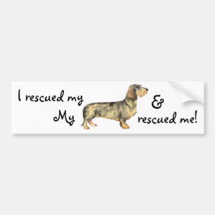 Autocollant De Voiture Rescue Wirehaired Dachshund