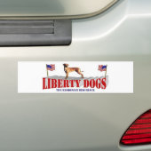 Autocollant De Voiture Rhodesian Ridgeback (En voiture)